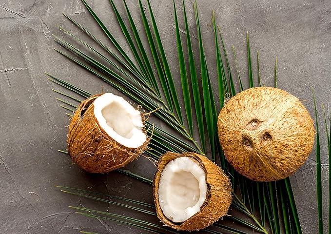 Organic Coconut Chips 85g